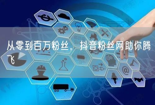 从零到百万粉丝，抖音粉丝网助你腾飞