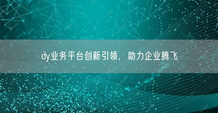 dy业务平台创新引领，助力企业腾飞