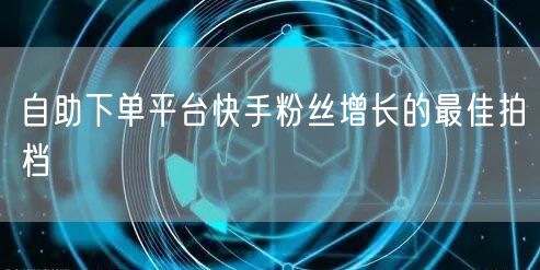 自助下单平台快手粉丝增长的最佳拍档