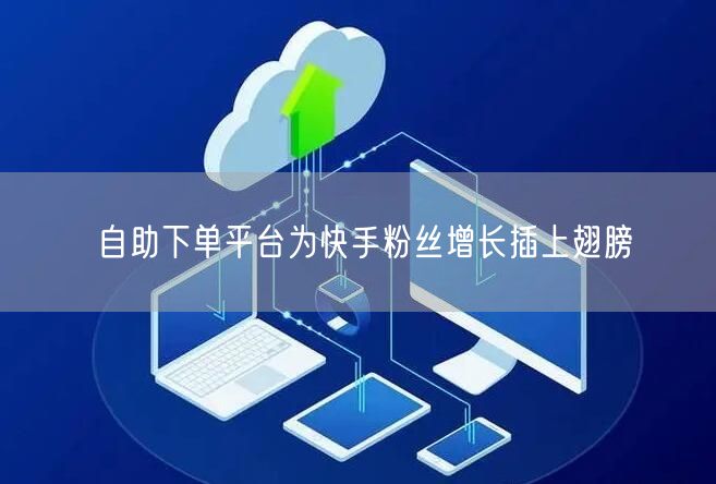 自助下单平台为快手粉丝增长插上翅膀