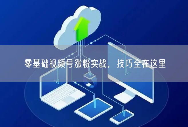 零基础视频号涨粉实战，技巧全在这里