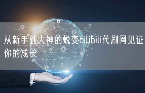 从新手到大神的蜕变bilibili代刷网见证你的成长