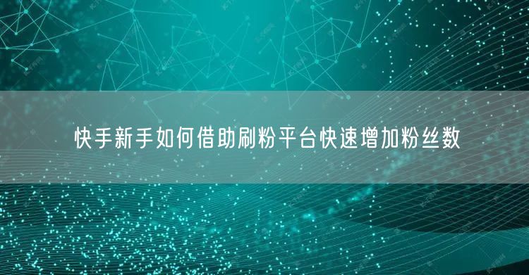 快手新手如何借助刷粉平台快速增加粉丝数