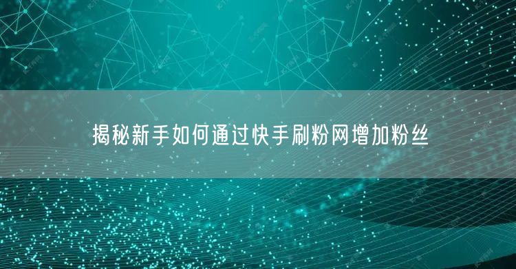 揭秘新手如何通过快手刷粉网增加粉丝