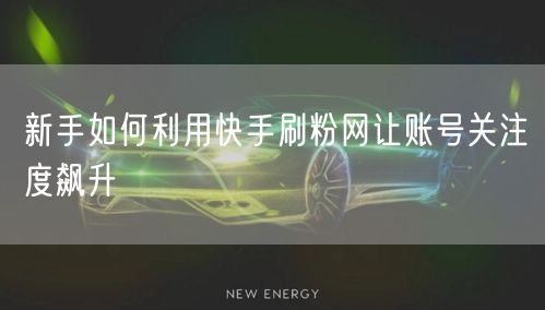 新手如何利用快手刷粉网让账号关注度飙升